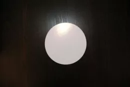 Disques à tourte 16cm (11E00)